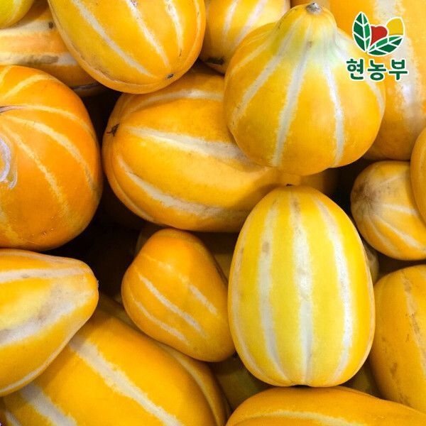 {백화점 상품} 꿀벌 성주참외 가정용 못난이 5kg 랜덤 혼합 많이 달다이~~ 대한민국 최저 가격 단 하루 특가 378956