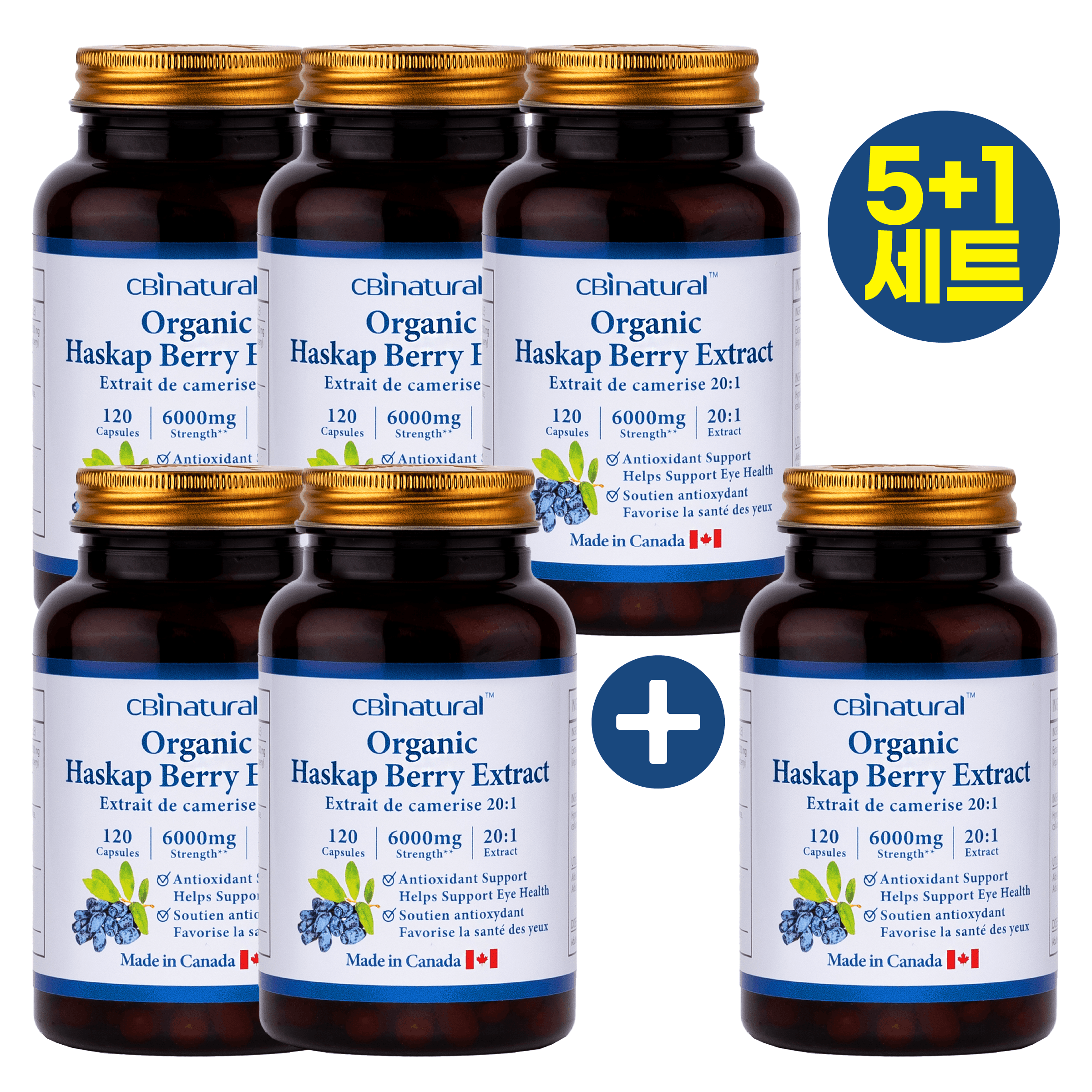 (5+1)캐나다 20배 고농축 하스카프베리 300mg 120캡슐 4개월 캐나다 생산 본사직발송