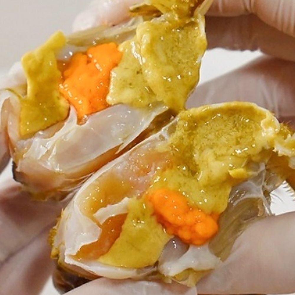 협력업체 국내산 생물 활꽃게 암꽃게 3kg 알배기 고소한 게장용