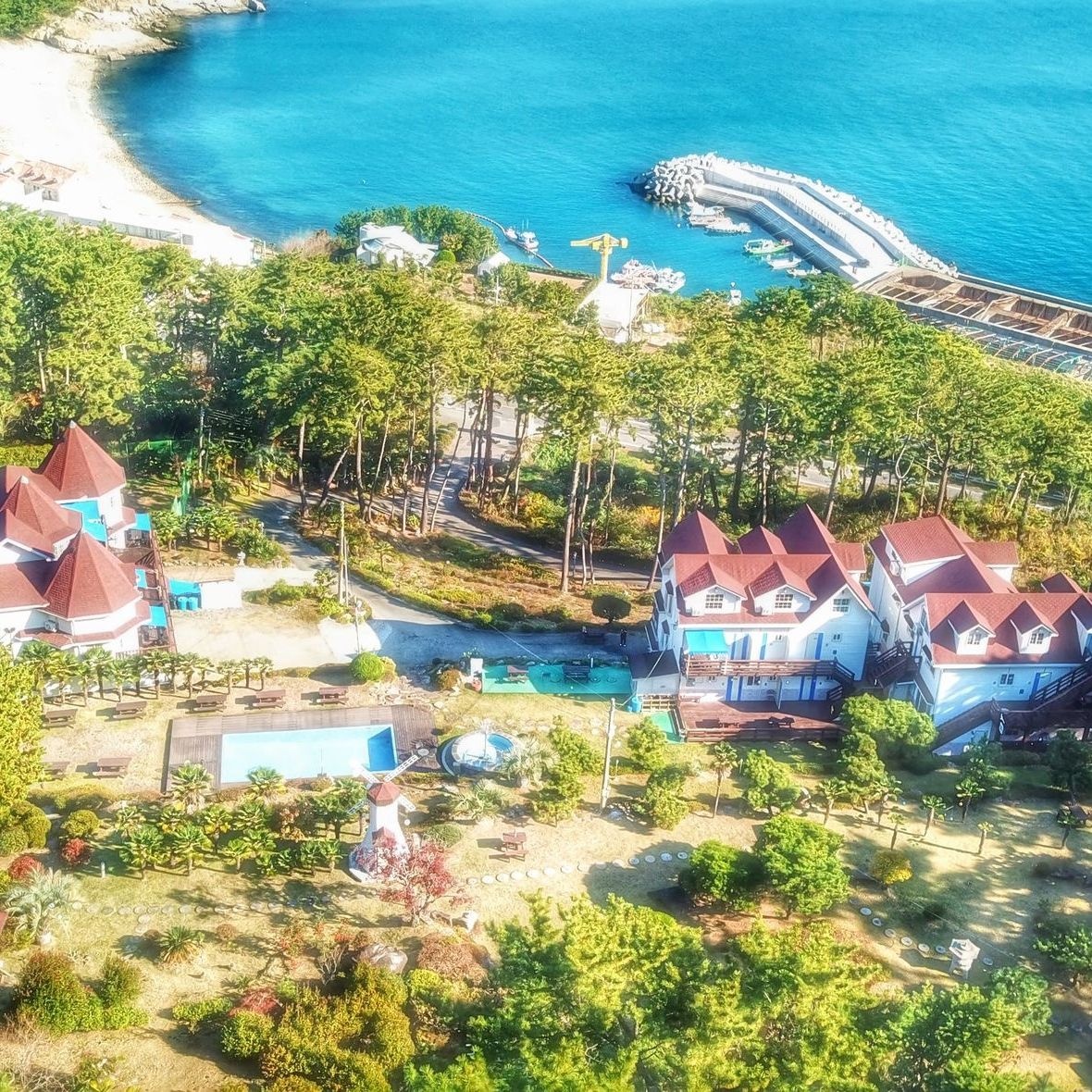 거제 블루캐슬애견펜션(전국 최대규모 애견펜션)