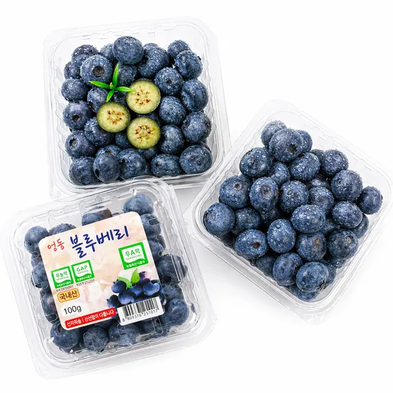 산지직송 충북 영동 무농약 블루베리 100g5팩