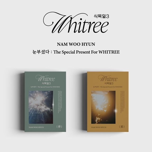 NAM WOO HYUN(남우현) - 눈부셨다: THE SPECIAL PRESENT FOR WHITREE [식목일 3 LIVE VER] [USB]