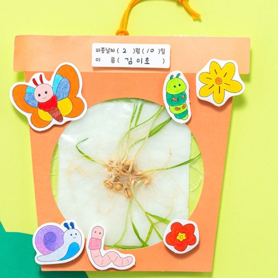 봄곤충색칠도안 식물뿌리관찰키트 투명창화분식물키우기 성장관찰일지