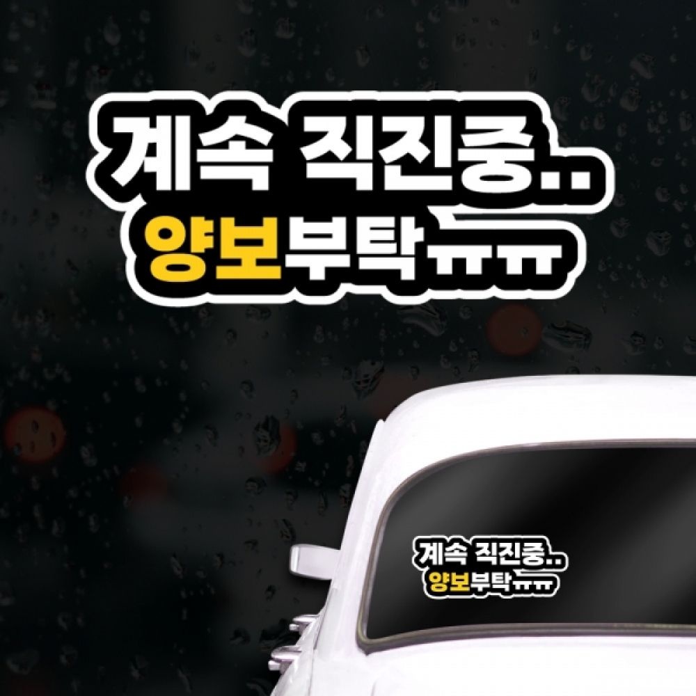 머니로드 양보 초보운전스티커 아이가타고있어요 계속직진중