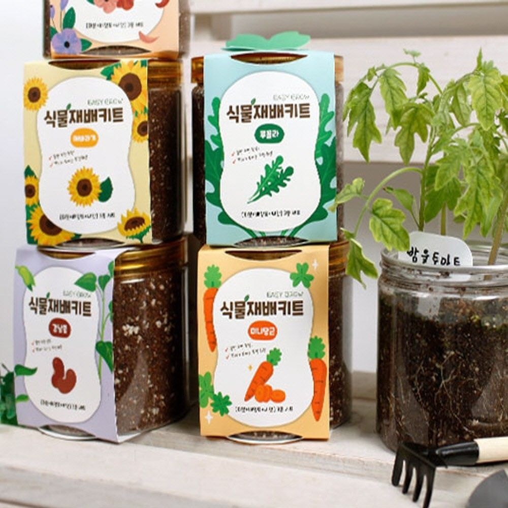 [오늘출발] 식물재배키트 방울토마토 딸기 고수 바질 키우기 [가빈스토어] 레몬밤키우기 고수키우기