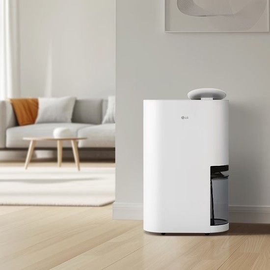 LG전자(주) LG 휘센 오브제컬렉션 엘지 제습기 18L DQ185MWGA
