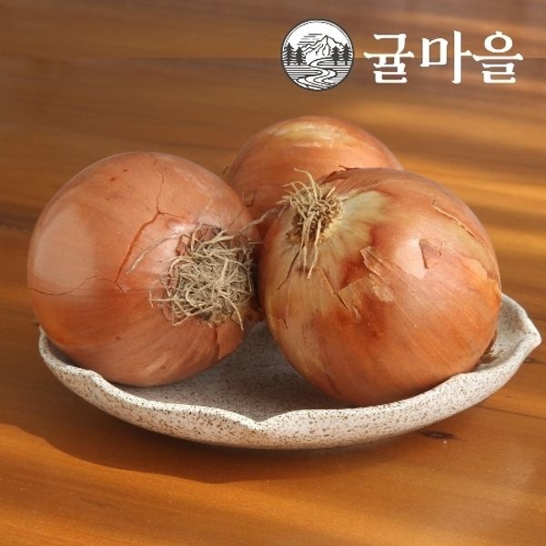귤마을 국내산 양파 중소 5kg내외