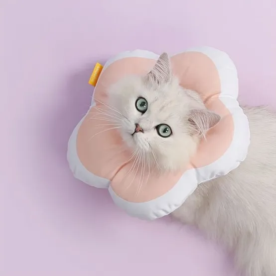 위러브 반려동물 꽃잎 넥카라