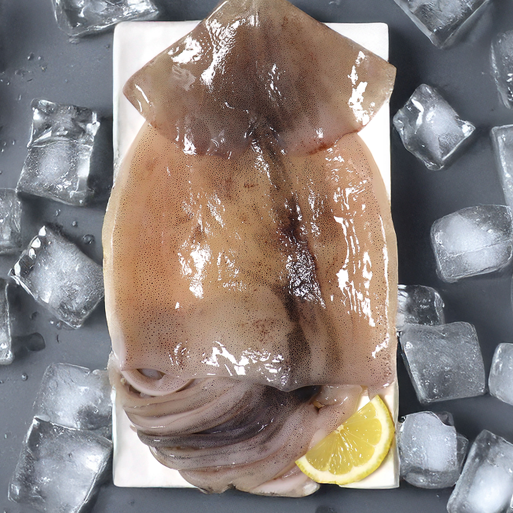 딜크릿)손질 오징어 1kg 4-6미 (2개 구매 시 초장, 3개 구매시 쥐포 추가 증정) : 롯데ON