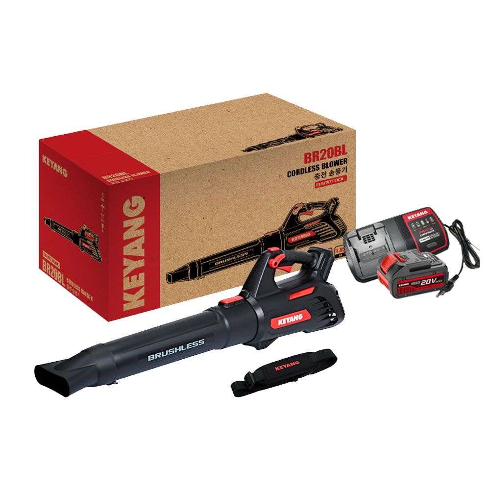계양 BR20BL 20V MAX 20V 충전송풍기 대형 5A 1개세트