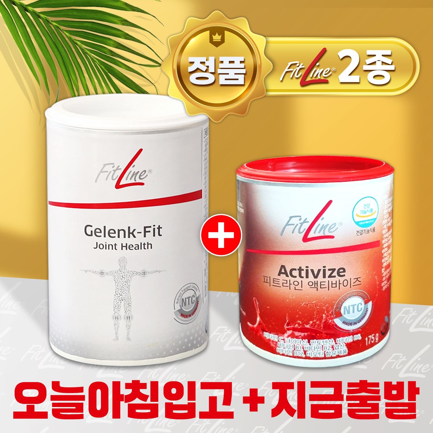 [오늘출발] 피트라인 Fitline 2종 독일pm 독일피엠쥬스 PM쥬스 피트라인 겔링핏 270g 1통 + 액티바이즈 175g 1통 (오늘아침입고)
