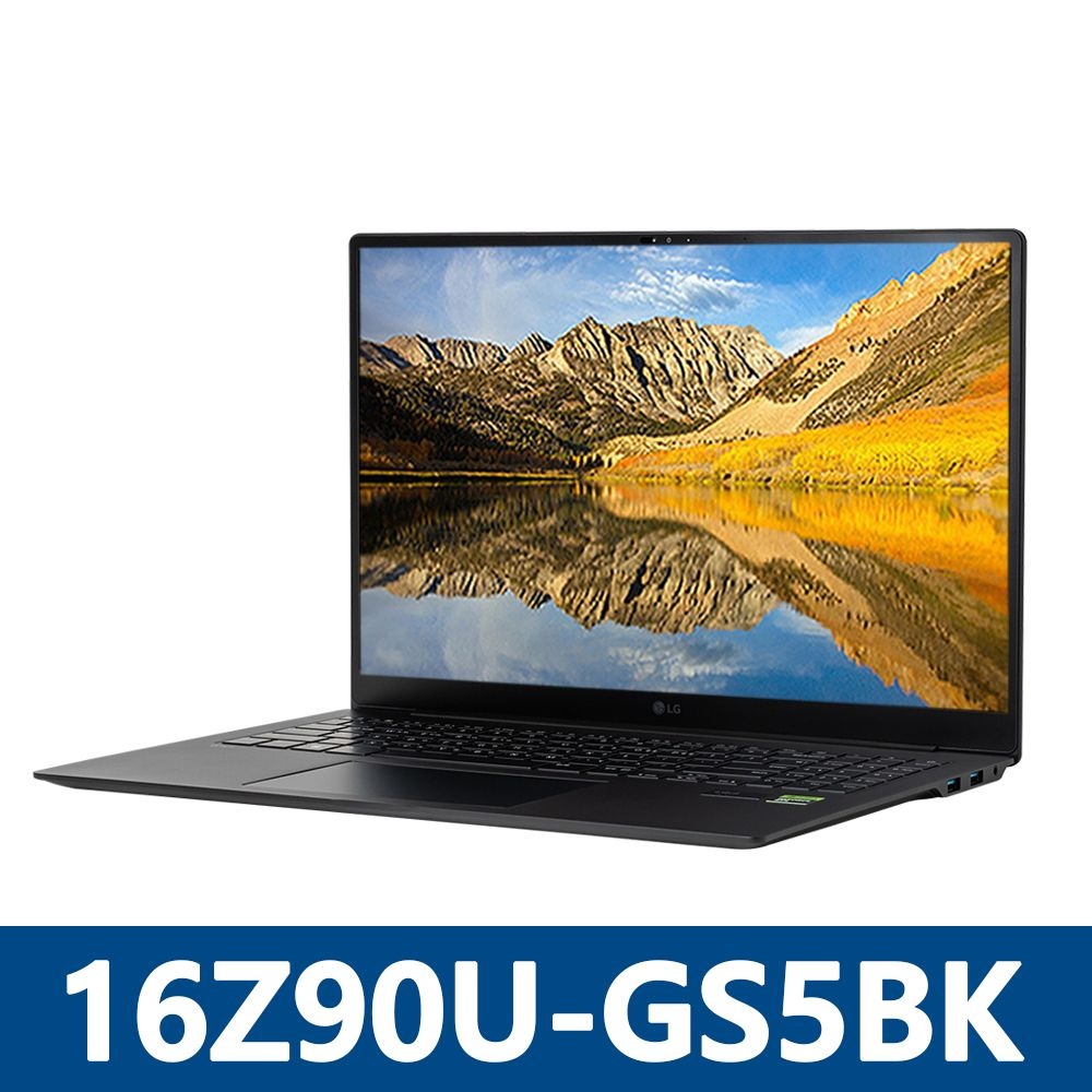 LG전자 그램 프로16 16Z90U-GS5BK SSD 512GB 교체장착