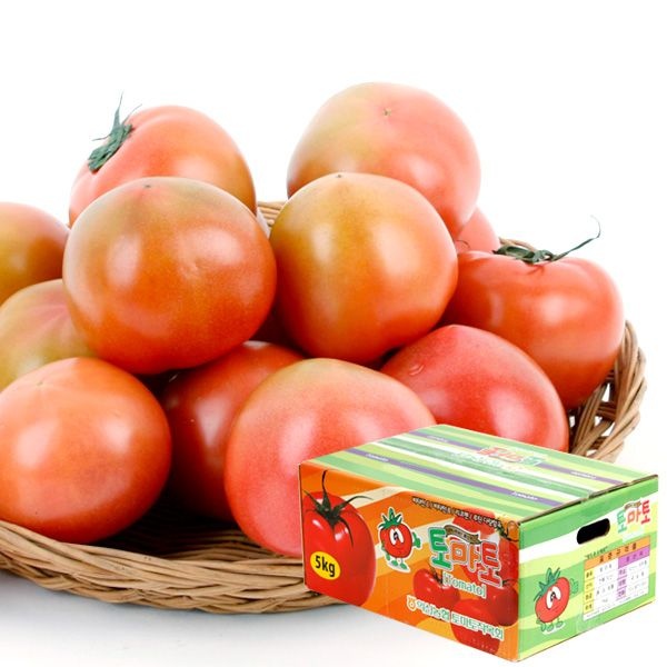 [농협공판장] 정성드린 찰토마토 5kg(특3-4번과)