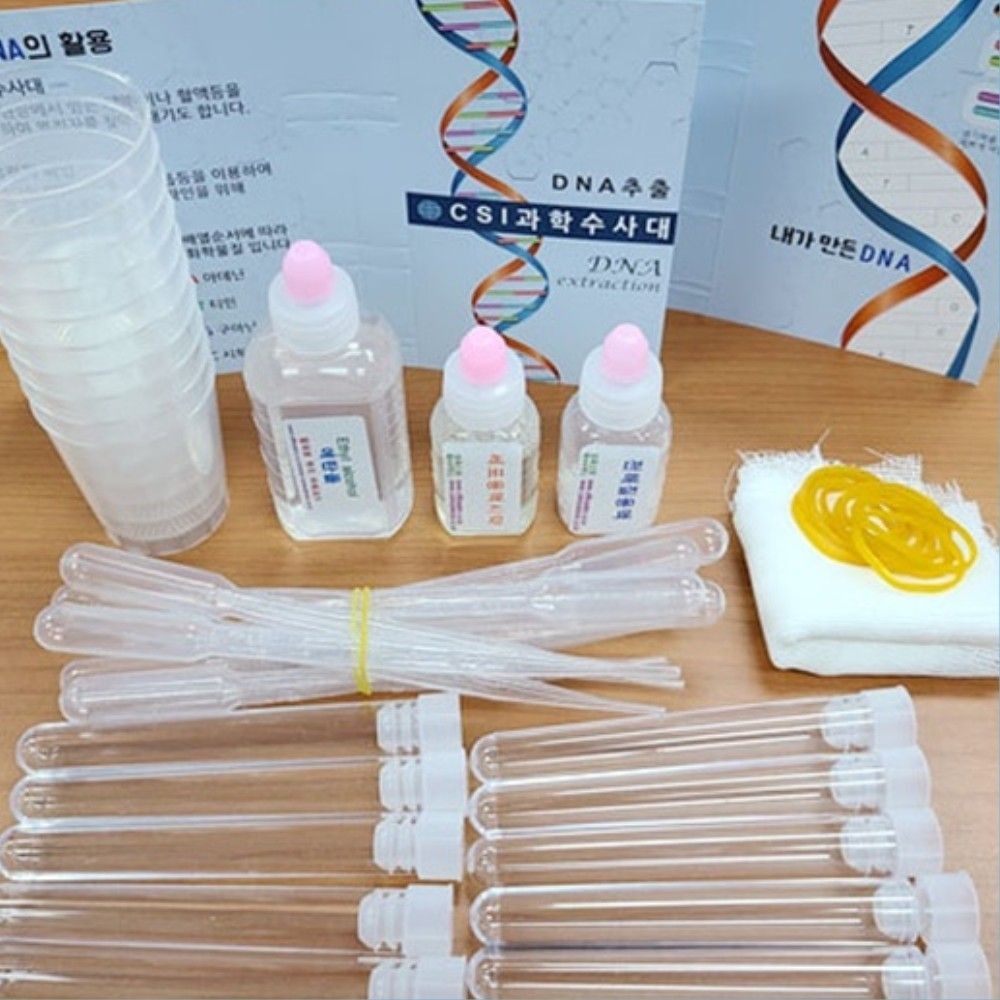 중학교 식물세포 DNA 추출실험 5인세트 수업용 염기서열