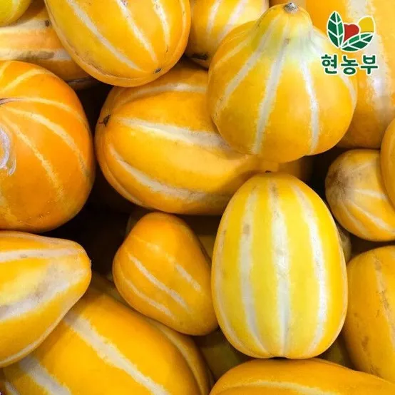 꿀벌 성주참외 가정용 못난이 10kg 랜덤 혼합 118988