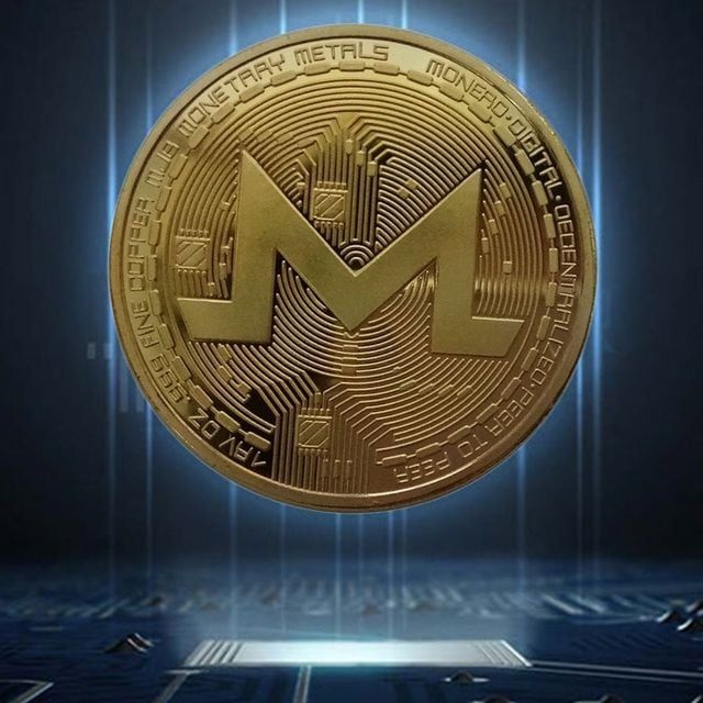 [FiiO]WL 모네로코인 데코 장식주화 가상암호화폐 Monero coin