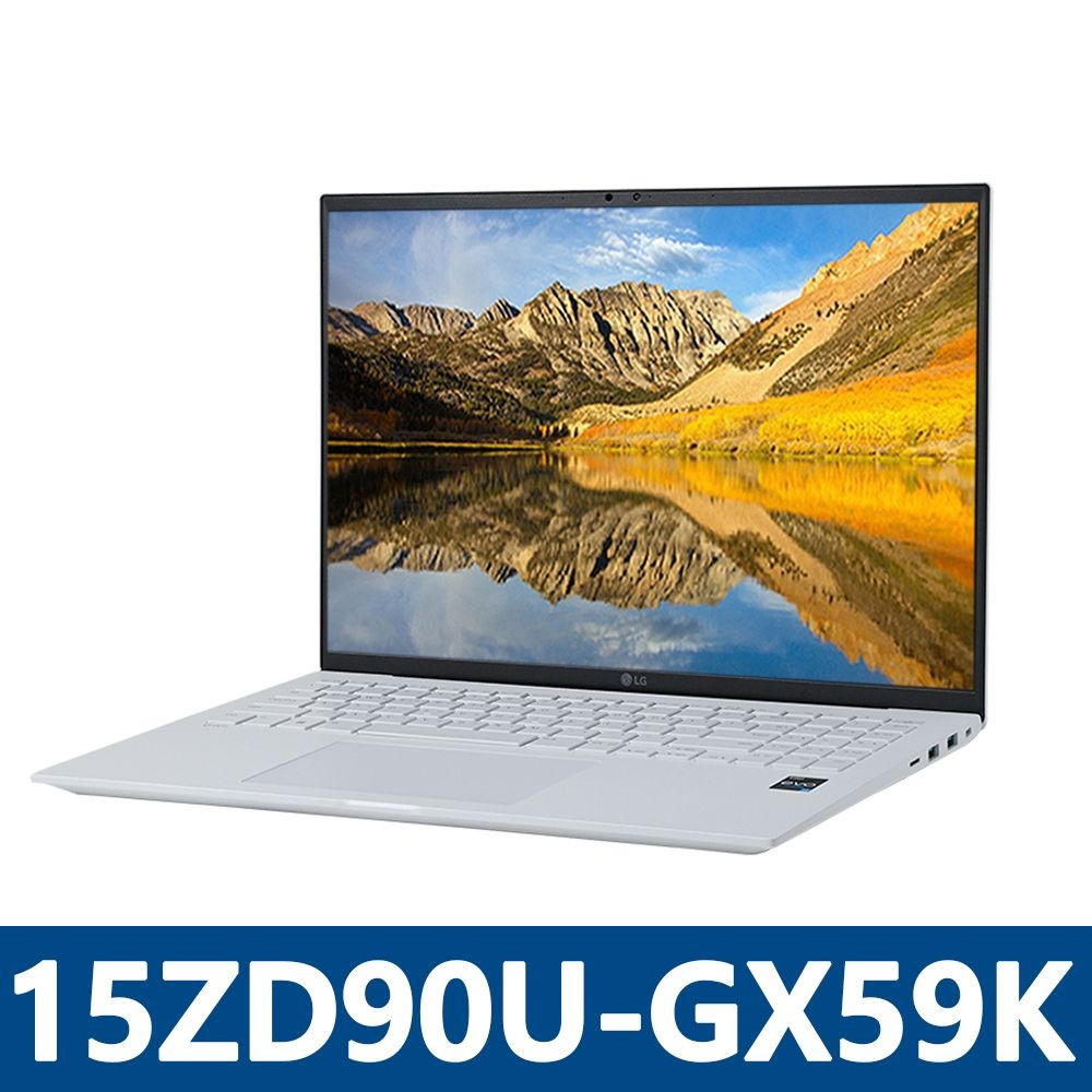 LG전자 그램15 15ZD90U-GX59K SSD 512GB 교체장착
