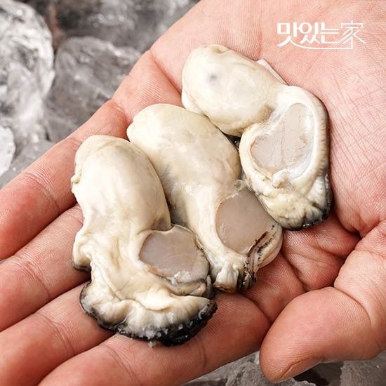 품질보장 통영 당일작업 햇 생굴 1kg 중량별 싱싱팩포장