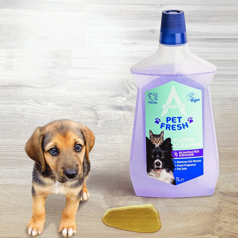 아스토니쉬 모닝듀 펫케어 프레시 바닥 클리너 1000ml