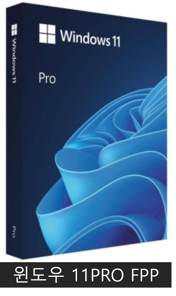 마이크로소프트 윈도우11  FPP 프로 처음사용자용 한글 (USB) (영구) windows11 pro