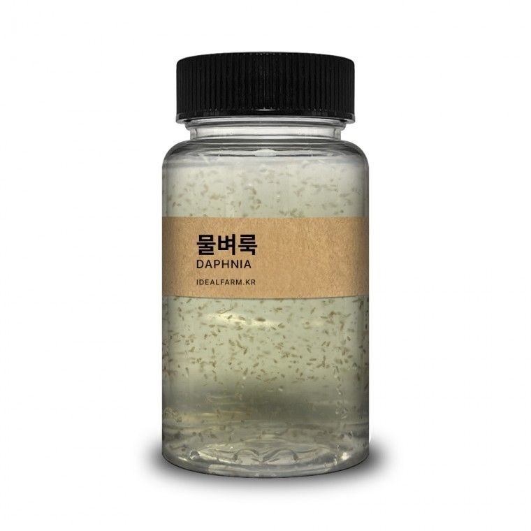 초등학교 실험 관찰생물 물속에서 톡톡 튀는 물벼룩 100ml