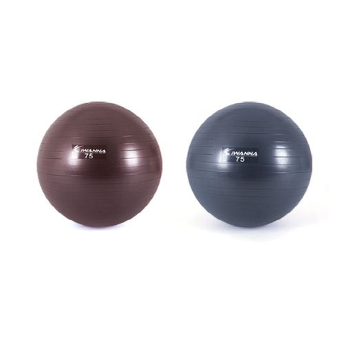 아이워너 안티버스트 짐볼 파스텔 75cm 홈트레이닝 헬스 운동짐볼