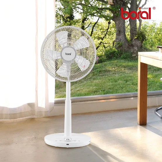 보랄 BLDC 스탠드 선풍기 BR-BLDC100RF