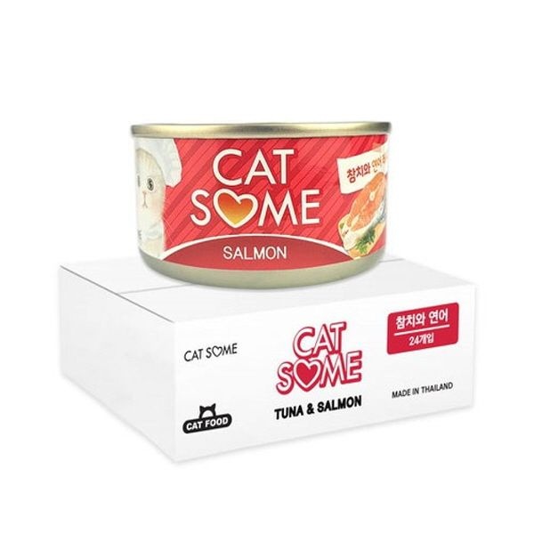 텐바이텐 캣썸 참치와 연어 (80g-24개)