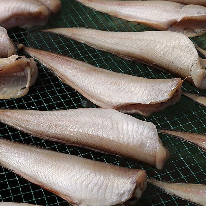 춘복상회협력업체 반건조 통영 나막스 400-500g 4-6미 반건조나막스 통영 물메기 붉은메기 반 건조물메기 바닥 대구 아재비