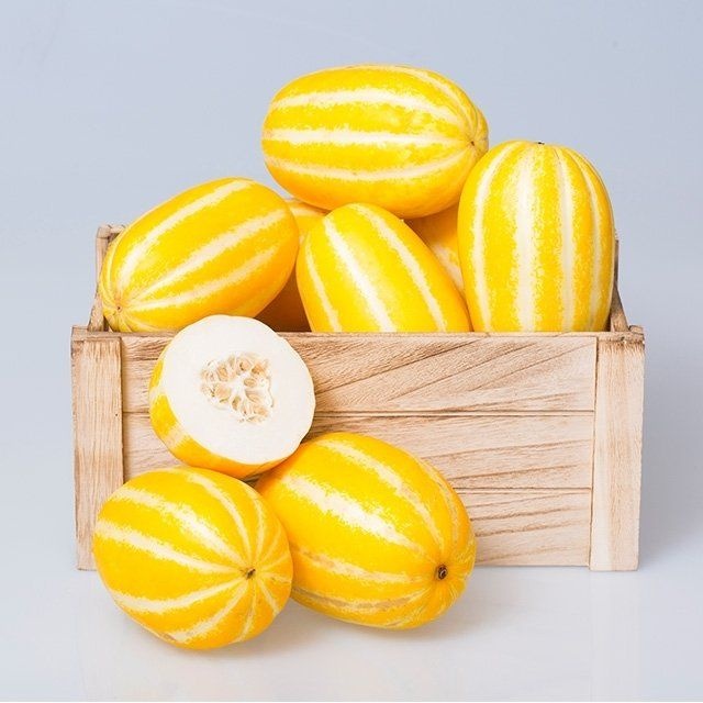 [표면흠집]달콤한 26년 성주 햇 참외 실중량 4.5kg 중소과