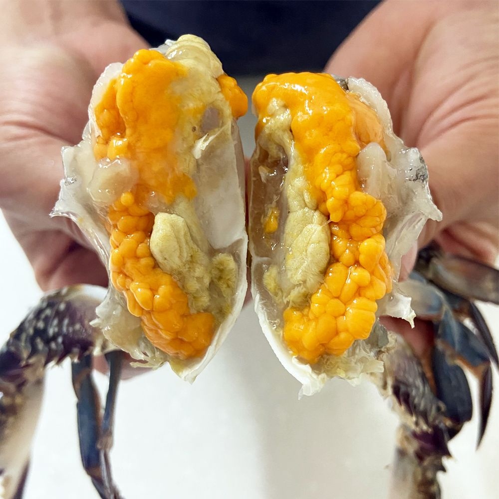 제철 봄 활꽃게 암꽃게 1kg 속이 꽉찬 냉동 몽당 서해안 꽃게 산지직송