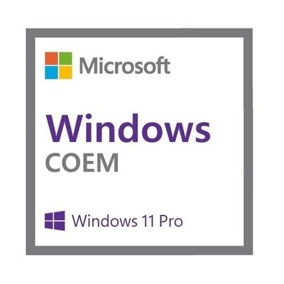 Windows 11