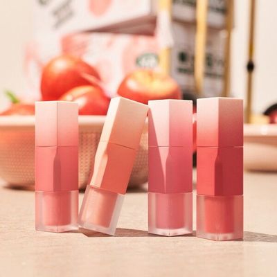 쉬폰 블러 틴트 미니