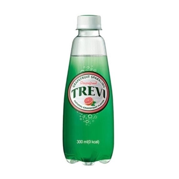 트레비 자몽 300ml x 20개