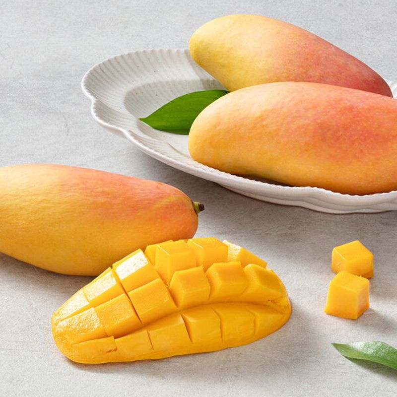 [달가]태국 마하차녹 무지개 망고 2kg 5kg : 롯데ON