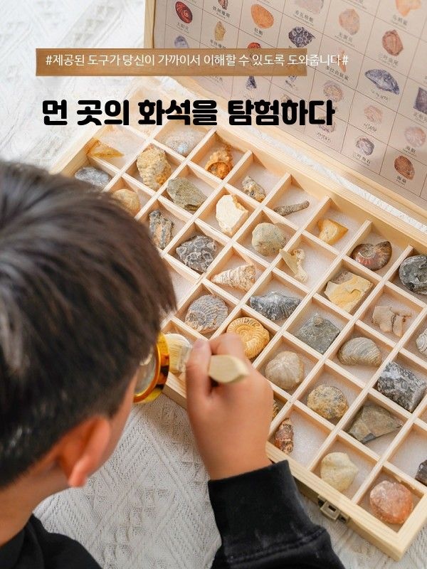 [해외] 고대 광물 화석 표본 세트 50종 삼엽충 소라 광석 선물용 암석관찰세트