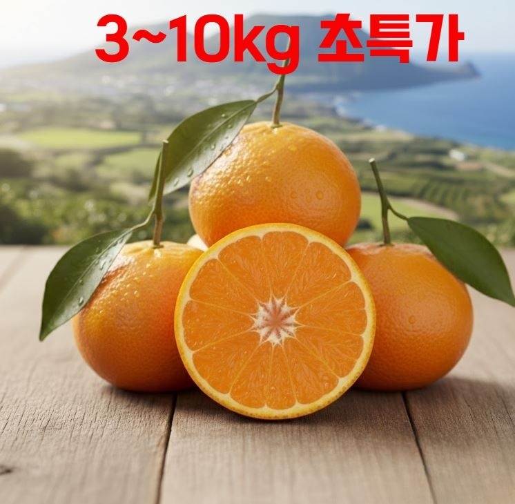 달콤새콤 제주 노지 감귤 대과 청귤 10kg