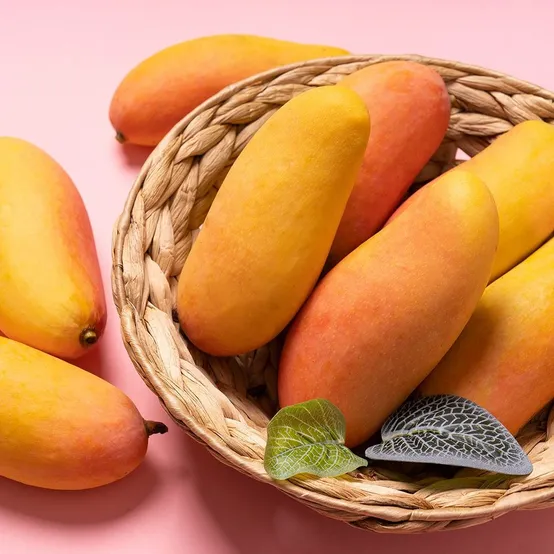 마하차녹 무지개망고 4kg 8-12과 특대과사이즈