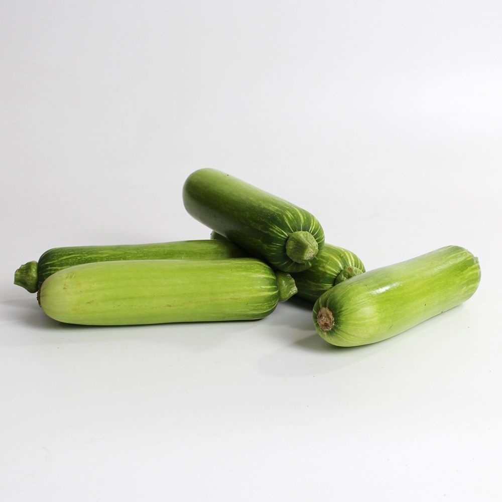[26년산] 청년농부 김선홍의 못난이 애호박 3개(1kg 내외) / 5개(1.8kg 내외) / 10개(3.5kg 내외) 전북정읍 호박
