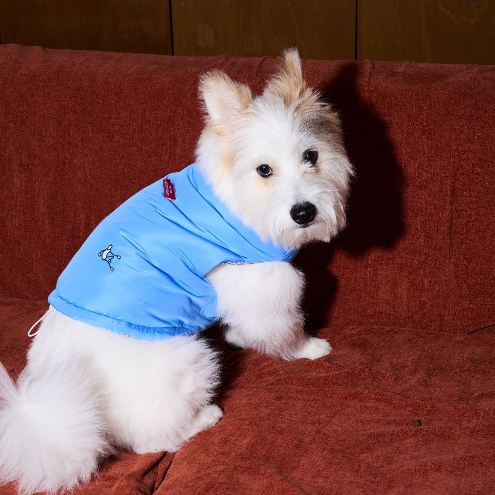 댄스온더플로어 [Season Off]Furless Reversible Pedded Pet Vest(3Color 5Size)