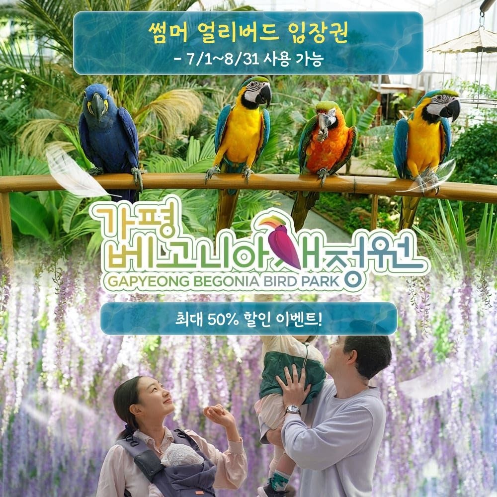 gapyeong begonia bird park [경기] 가평 베고니아새정원 썸머 얼리버드 입장권(7/1~8/31)