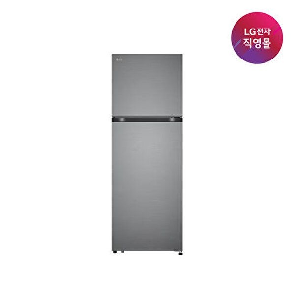 LG전자 [LG전자][LG전자 직영] LG 일반냉장고 241L B245DS22
