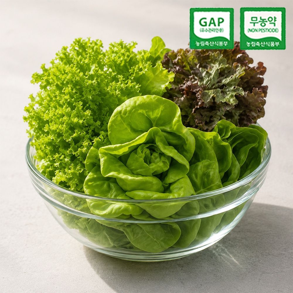 [롯데온] 친환경 GAP 무농약 부여 유러피안 샐러드 채소 1kg 800g 550g