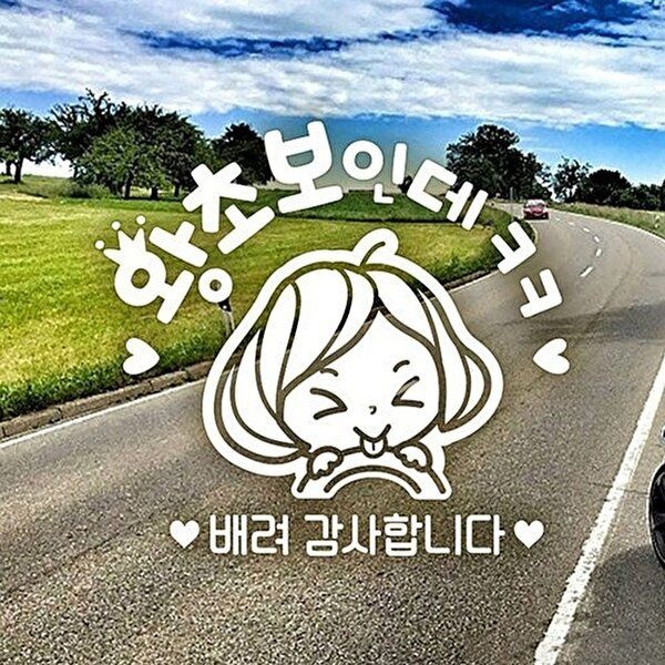 고품질 왕초보인데ㅋㅋ 초보자동차스티커-반사 익스테리어용품 초보운전스티커 자동차스티커 W49E175