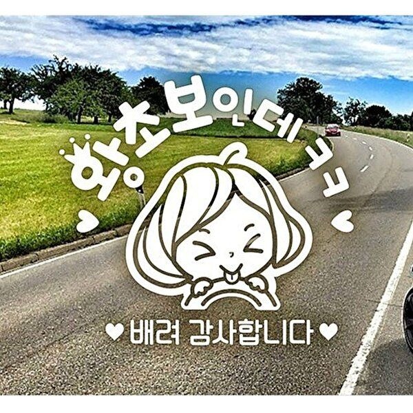 고품질 왕초보인데ㅋㅋ 초보자동차스티커-화이트 익스테리어용품 초보운전스티커 자동차스티커 W49E174