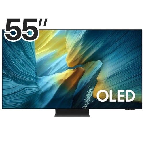 삼성전자 올레드 KQ55SF95AFXKR