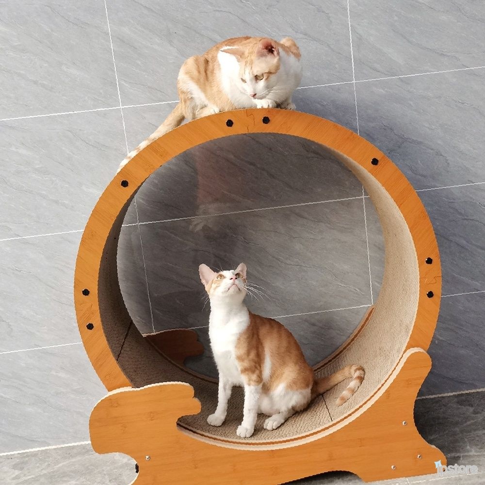 공구샵 런닝머신 고양이운동기구 원목 고양이 캣휠