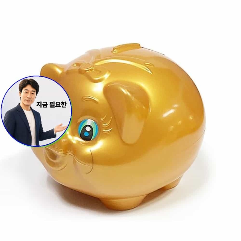 지금 필요한 황금돼저금통 황금돼해 복돼 꿀꿀이저금통 동전함 저금함