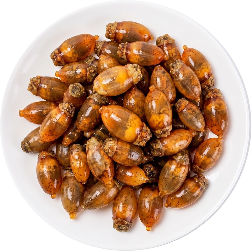 당일채취 손질 미더덕회 통영 미더덕 500g 1kg 생물