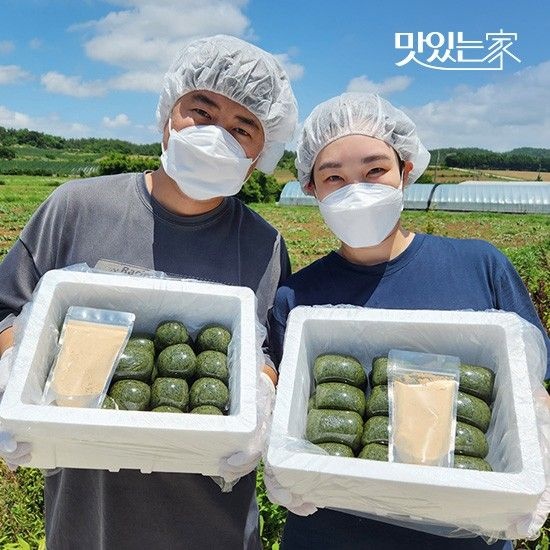 직접 농사지은 해남 찹쌀 해풍 쑥떡 거북이떡 2종